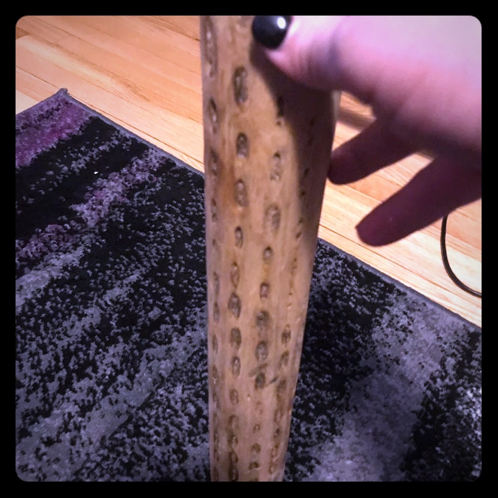 Rain stick